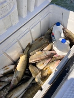 Fishing in Oak Harbor, Ohio