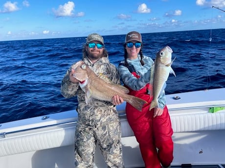 Tilefish Fishing in Destin, Florida