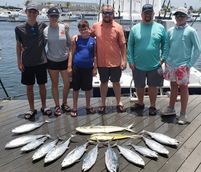 Little Tunny / False Albacore, Mahi Mahi / Dorado fishing in Key West, Florida