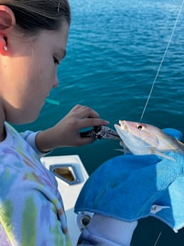 Lane Snapper Fishing in Key West, Florida