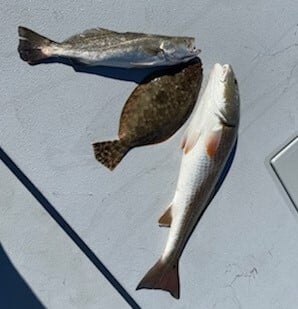 Flounder, Redfish, Speckled Trout / Spotted Seatrout fishing in Galveston, Texas