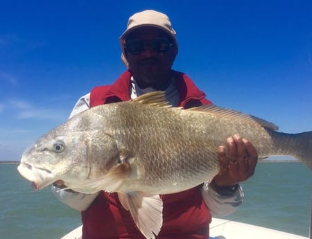 Black Drum fishing in Corpus Christi, Texas