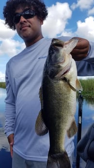 Largemouth Bass fishing in Fort Lauderdale, Florida