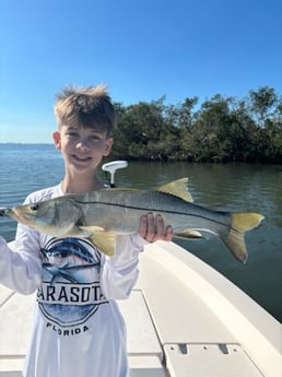 Fishing in Sarasota, Florida