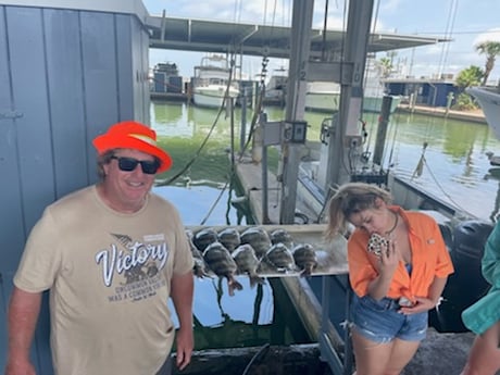 Sheepshead fishing in Galveston, Texas