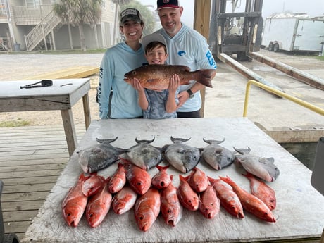 Triggerfish, Vermillion Snapper Fishing in Pensacola, Florida