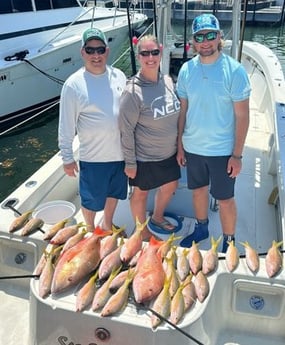 Mutton Snapper, Yellowtail Snapper Fishing in Key Largo, Florida