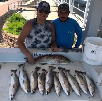 Redfish, Speckled Trout / Spotted Seatrout fishing in Galveston, Texas