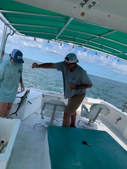 Spanish Mackerel Fishing in Clearwater, Florida