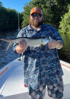 Tarpon Fishing in Carolina, Carolina