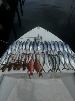 Fishing in Fort Lauderdale, Florida