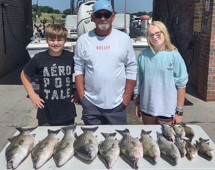 Hybrid Striped Bass fishing in Runaway Bay, Texas