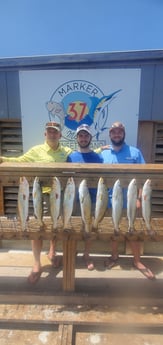 Speckled Trout / Spotted Seatrout fishing in Corpus Christi, Texas