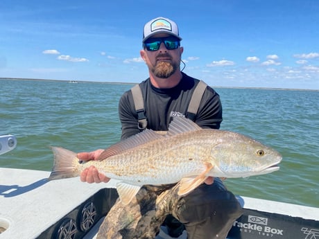 Redfish fishing in Port O&#039;Connor, Texas