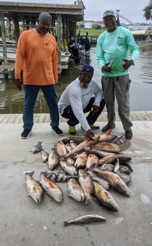 Black Drum, Redfish, Sheepshead, Speckled Trout / Spotted Seatrout Fishing in Sulphur, Louisiana