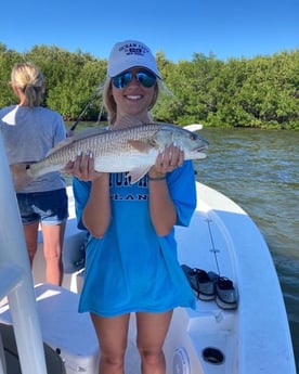 Redfish Fishing in Fort Myers, Florida