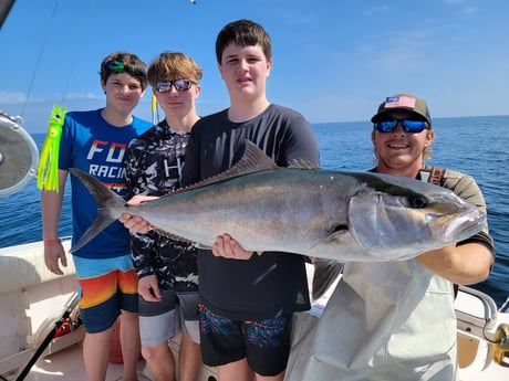 Amberjack fishing in Clearwater, Florida