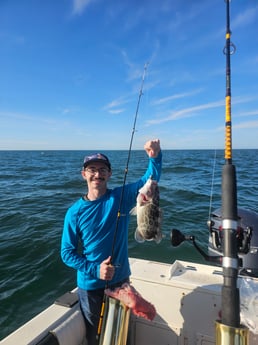 Gag Grouper Fishing in Belleair Bluffs, Florida