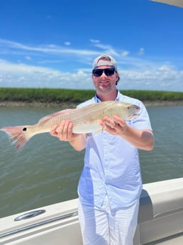 Redfish Fishing in Mount Pleasant, South Carolina