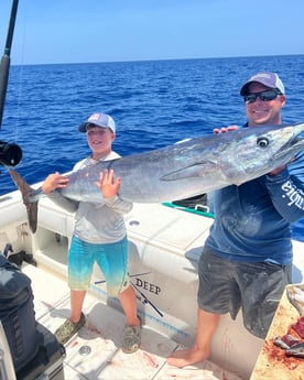 Wahoo fishing in Sarasota, Florida