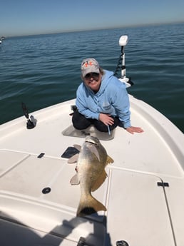 Black Drum fishing in League City, Texas