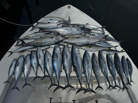 Fishing in Fort Lauderdale, Florida