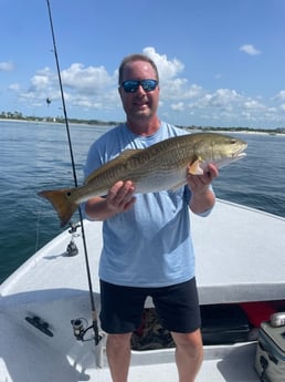 Fishing in Gulf Shores, Alabama