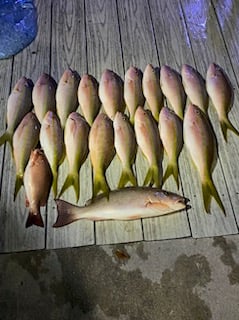 Fishing in Pompano Beach, Florida