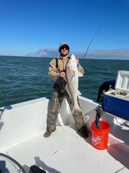 Redfish Fishing in Freeport, Texas