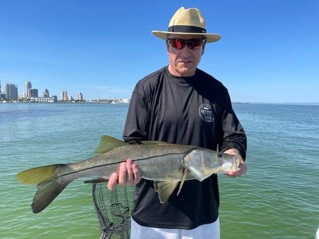 Redfish fishing in St. Petersburg, Florida