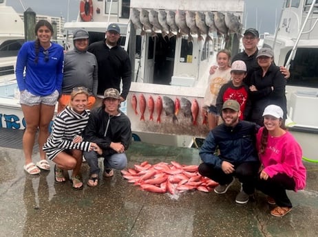 Triggerfish, Vermillion Snapper Fishing in Destin, Florida