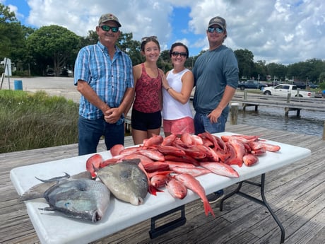 Red Snapper, Triggerfish fishing in Pensacola, Florida