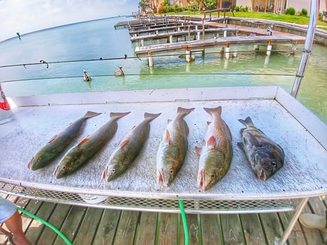 Flounder fishing in Rio Hondo, Texas