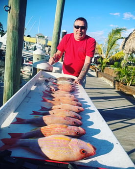 Lane Snapper Fishing in Fort Myers, Florida