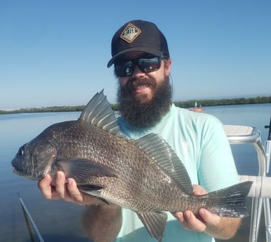 Black Drum Fishing in New Smyrna Beach, Florida