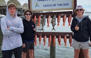 Amberjack, Vermillion Snapper Fishing in Destin, Florida