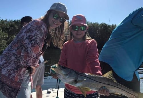 Snook Fishing in St. Petersburg, Florida