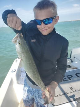 Sheepshead fishing in St. Petersburg, Florida