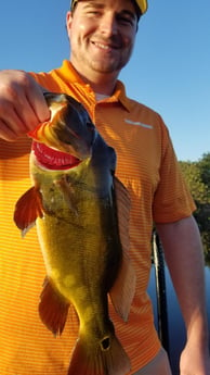 Peacock Bass Fishing in Fort Lauderdale, Florida