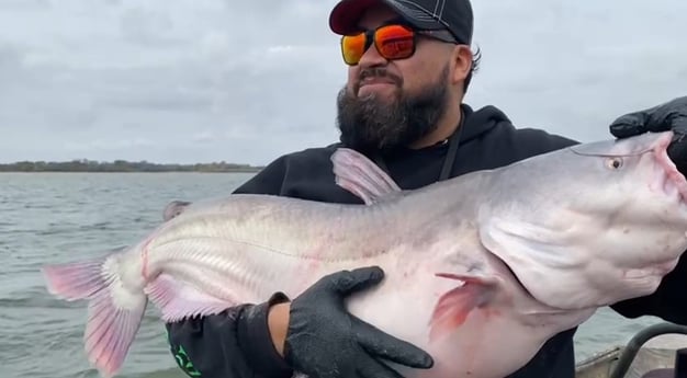 Blue Catfish fishing in Dallas, Texas