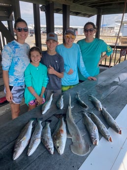 Bonnethead Shark, Redfish, Speckled Trout / Spotted Seatrout fishing in Rockport, Texas