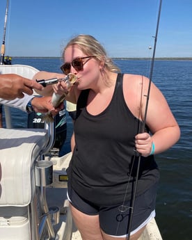 Jack Crevalle fishing in Santa Rosa Beach, Florida