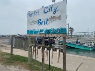 Fishing in Galveston, Texas