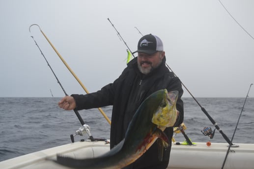 Mahi Mahi / Dorado fishing in Galveston, Texas