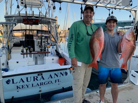 Mutton Snapper fishing in Naples, Florida