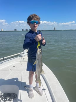 Redfish fishing in Fort Myers, Florida