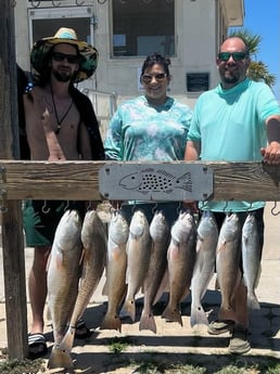 Redfish, Speckled Trout Fishing in Port Aransas, Texas