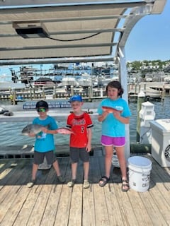 Triggerfish, Vermillion Snapper Fishing in Destin, Florida