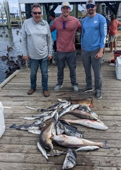 Black Drum, Redfish, Sheepshead, Speckled Trout / Spotted Seatrout Fishing in Sulphur, Louisiana