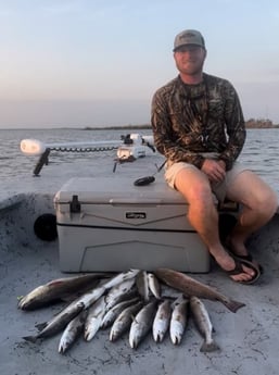 Redfish, Speckled Trout Fishing in Sulphur, Louisiana